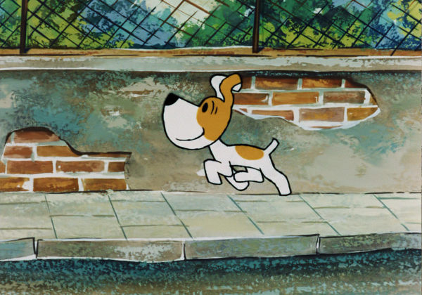 Biało brązowy pies radośnie biegnie po chodniku.