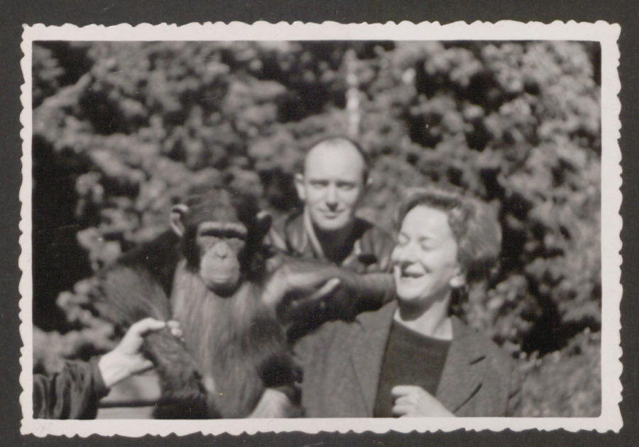 Uśmiechnięta Wiesława Szymborska pozuje z szympansem