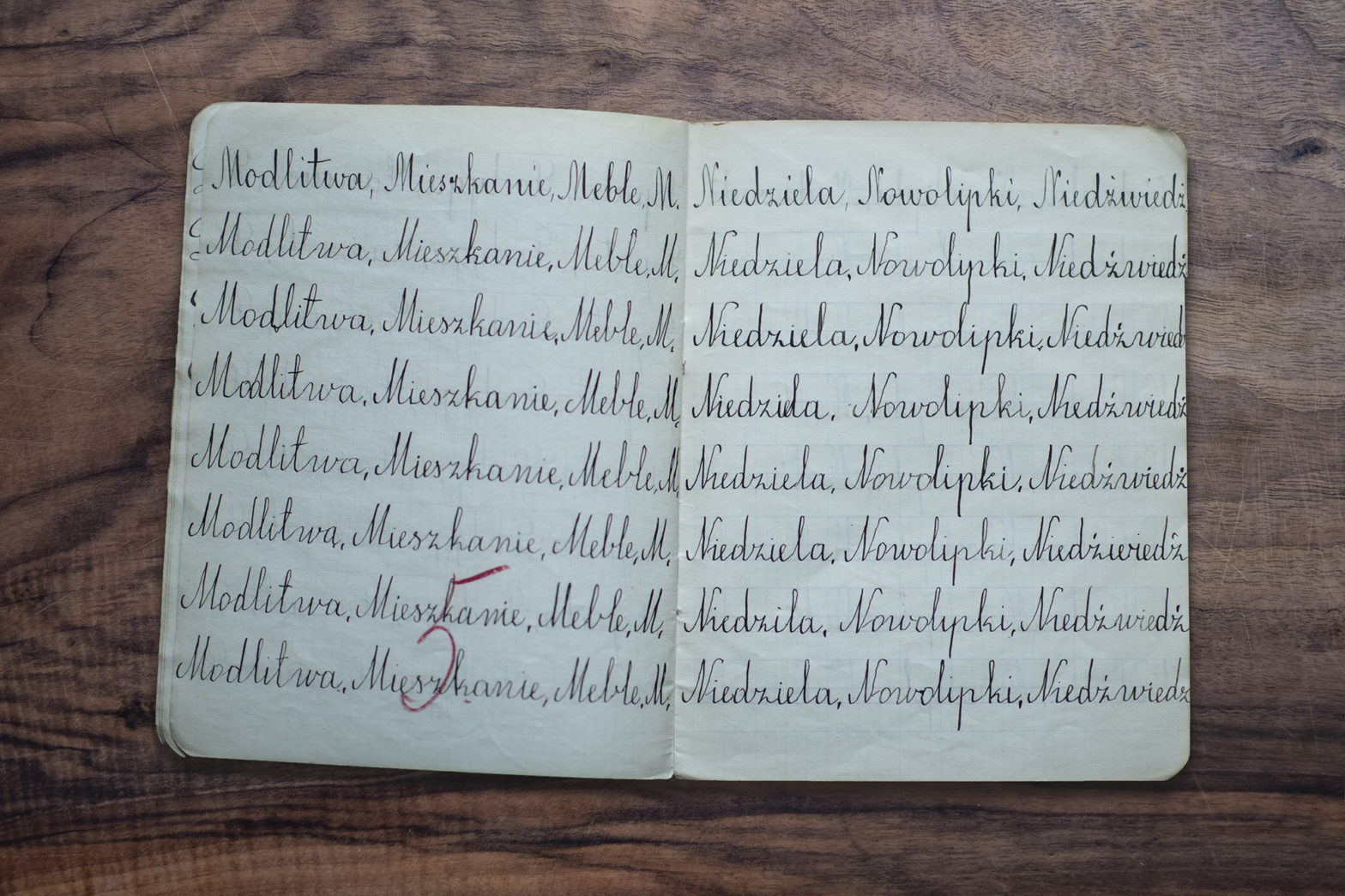 Otwarty zeszyt, w którym w każdej linijce zapisane są takie same wyrazy - ćwiczenie kaligrafii. Na dole strony znajduje się ocena: "pięć", zapisana czerwonym długopisem.
